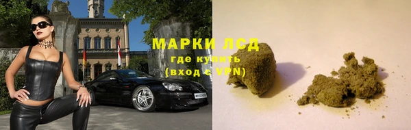 ПСИЛОЦИБИНОВЫЕ ГРИБЫ Балабаново