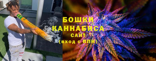 ПСИЛОЦИБИНОВЫЕ ГРИБЫ Балабаново