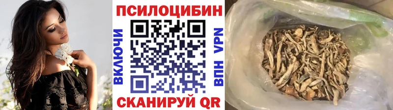 Галлюциногенные грибы Psilocybine cubensis  закладки  Суворов 