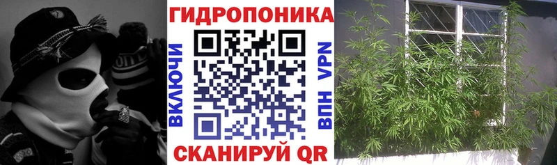 shop как зайти  продажа наркотиков  Суворов  Шишки марихуана индика 